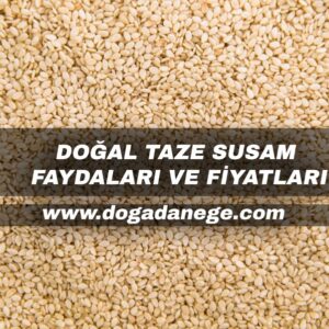 doğal taze susam faydaları ve fiyatları 2024